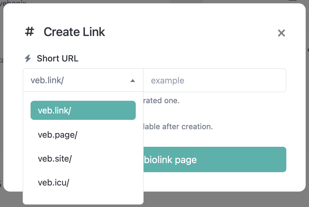 Screenshot of the app biolink editing page